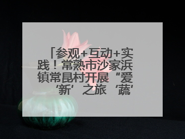 参观+互动+实践！常熟市沙家浜镇常昆村开展“爱‘新’之旅‘蔬’适生活”参观学习活动