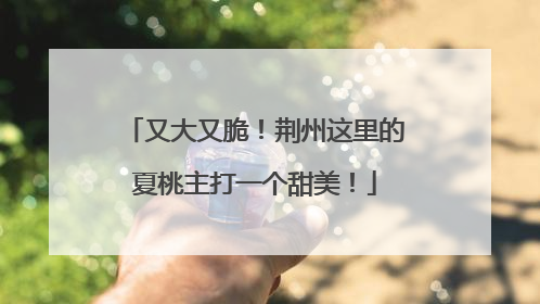 又大又脆！荆州这里的夏桃主打一个甜美！