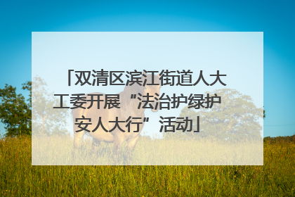 双清区滨江街道人大工委开展“法治护绿护安人大行”活动