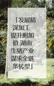 发展精深加工 提升附加值 湖南生猪产业谋求全链条转型
