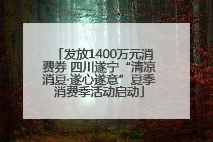 发放1400万元消费券 四川遂宁“清凉消夏·遂心遂意”夏季消费季活动启动