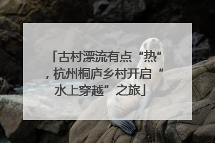 古村漂流有点“热”，杭州桐庐乡村开启“水上穿越”之旅