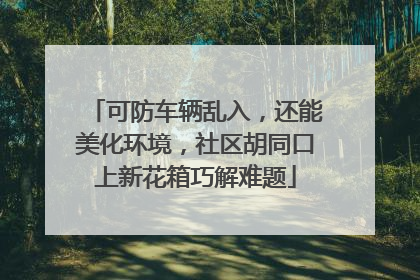 可防车辆乱入，还能美化环境，社区胡同口上新花箱巧解难题