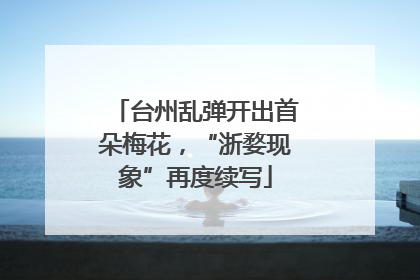 台州乱弹开出首朵梅花，“浙婺现象”再度续写