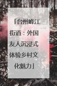 台州峰江街道：外国友人沉浸式体验乡村文化魅力