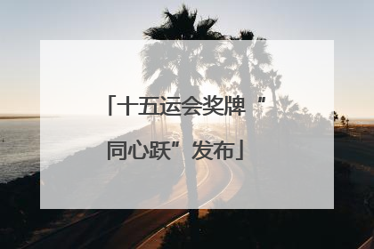 十五运会奖牌“同心跃”发布