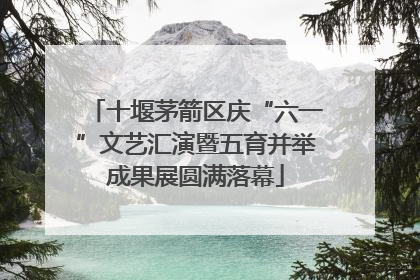 十堰茅箭区庆“六一”文艺汇演暨五育并举成果展圆满落幕