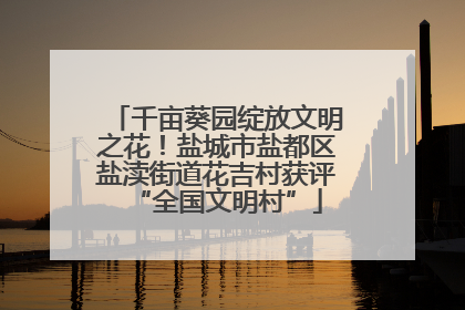 千亩葵园绽放文明之花！盐城市盐都区盐渎街道花吉村获评“全国文明村”