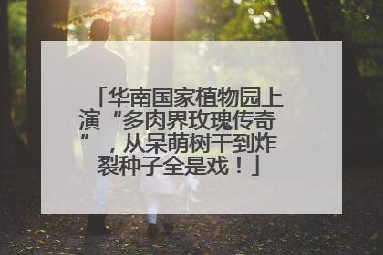 华南国家植物园上演“多肉界玫瑰传奇”，从呆萌树干到炸裂种子全是戏！