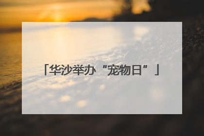 华沙举办“宠物日”