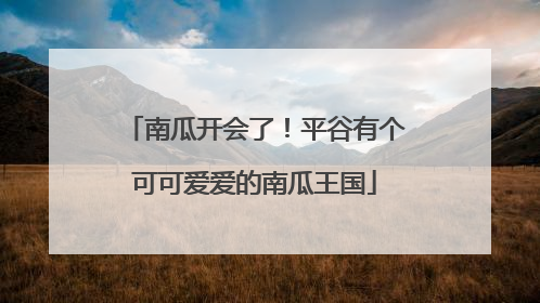 南瓜开会了！平谷有个可可爱爱的南瓜王国