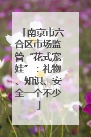 南京市六合区市场监管“花式宠娃”：礼物、知识、安全一个不少