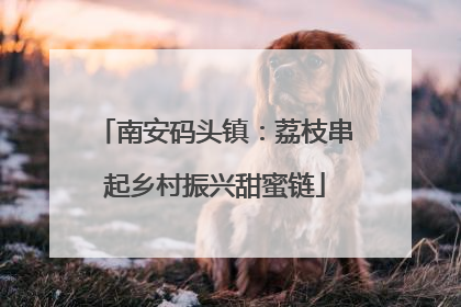 南安码头镇：荔枝串起乡村振兴甜蜜链