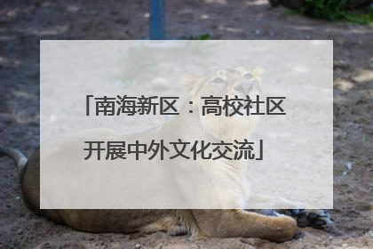 南海新区：高校社区开展中外文化交流