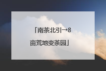 南茶北引→8亩荒地变茶园