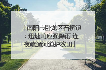 南阳市卧龙区石桥镇：迅速响应强降雨 连夜疏通河道护农田