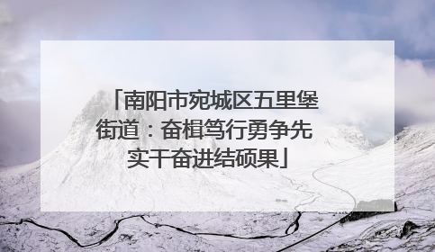 南阳市宛城区五里堡街道：奋楫笃行勇争先 实干奋进结硕果
