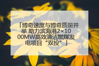 博奇速度与博奇质量并举 助力滨海港2×1000MW高效清洁燃煤发电项目“双投”