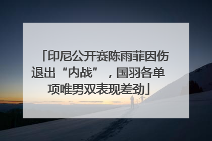 印尼公开赛陈雨菲因伤退出“内战”，国羽各单项唯男双表现差劲