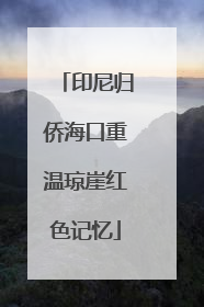 印尼归侨海口重温琼崖红色记忆