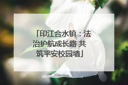 印江合水镇：法治护航成长路 共筑平安校园墙