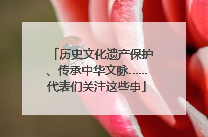 历史文化遗产保护、传承中华文脉……代表们关注这些事