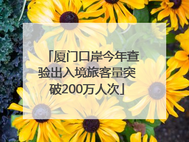 厦门口岸今年查验出入境旅客量突破200万人次