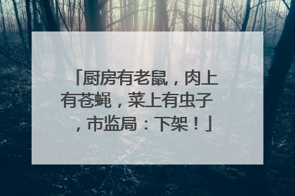 厨房有老鼠，肉上有苍蝇，菜上有虫子，市监局：下架！