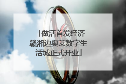 做活首发经济 赣湘边奥莱数字生活城正式开业