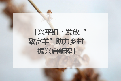 兴平镇：发放“致富羊”助力乡村振兴启新程