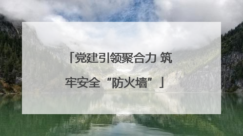 党建引领聚合力 筑牢安全“防火墙”