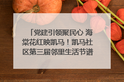党建引领聚民心 海棠花红映凯马！凯马社区第三届邻里生活节谱写幸福新篇章