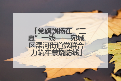 党旗飘扬在“三夏”一线——宛城区溧河街道党群合力筑牢禁烧防线