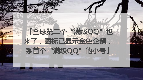 全球第二个“满级QQ”也来了，图标已显示金色企鹅，系首个“满级QQ”的小号