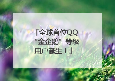 全球首位QQ“金企鹅”等级用户诞生！