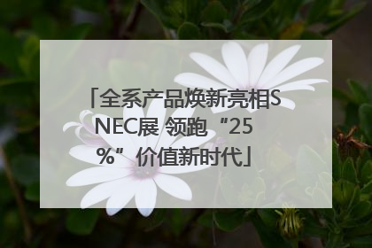 全系产品焕新亮相SNEC展 领跑“25%”价值新时代