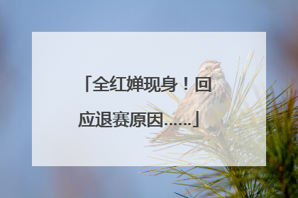 全红婵现身！回应退赛原因……