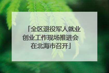 全区退役军人就业创业工作现场推进会在北海市召开