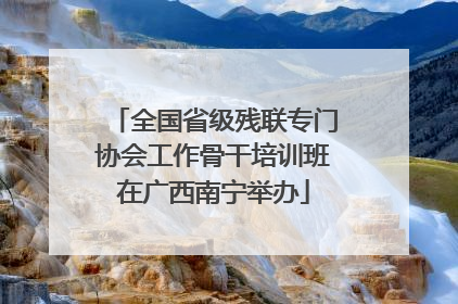 全国省级残联专门协会工作骨干培训班在广西南宁举办