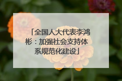 全国人大代表李鸿彬：加强社会支持体系规范化建设