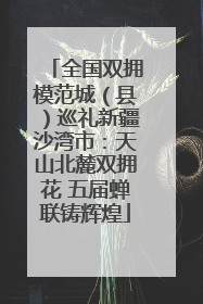 全国双拥模范城（县）巡礼新疆沙湾市：天山北麓双拥花 五届蝉联铸辉煌