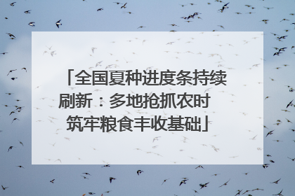 全国夏种进度条持续刷新：多地抢抓农时 筑牢粮食丰收基础