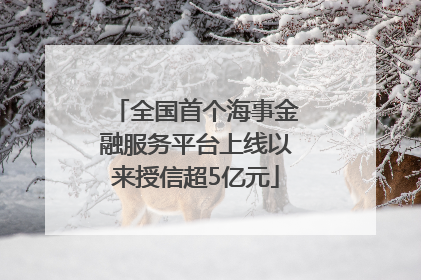 全国首个海事金融服务平台上线以来授信超5亿元