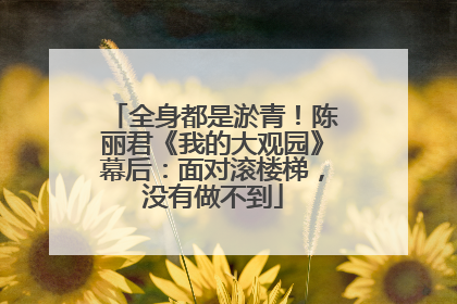 全身都是淤青！陈丽君《我的大观园》幕后：面对滚楼梯，没有做不到