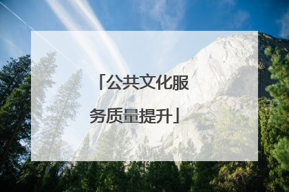 公共文化服务质量提升