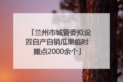 兰州市城管委拟设置自产自销瓜果临时摊点2000余个