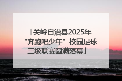 关岭自治县2025年“奔跑吧少年”校园足球三级联赛圆满落幕