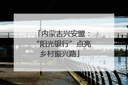 内蒙古兴安盟：“阳光银行”点亮乡村振兴路