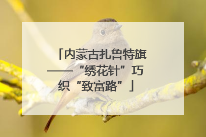 内蒙古扎鲁特旗——“绣花针”巧织“致富路”