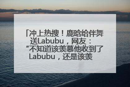 冲上热搜！鹿晗给伴舞送Labubu，网友：“不知道该羡慕他收到了Labubu，还是该羡慕鹿晗送他礼物”